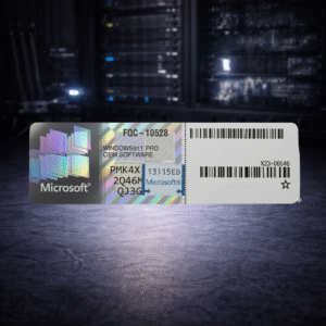 Windows 11 Pro OEM 64 Bits